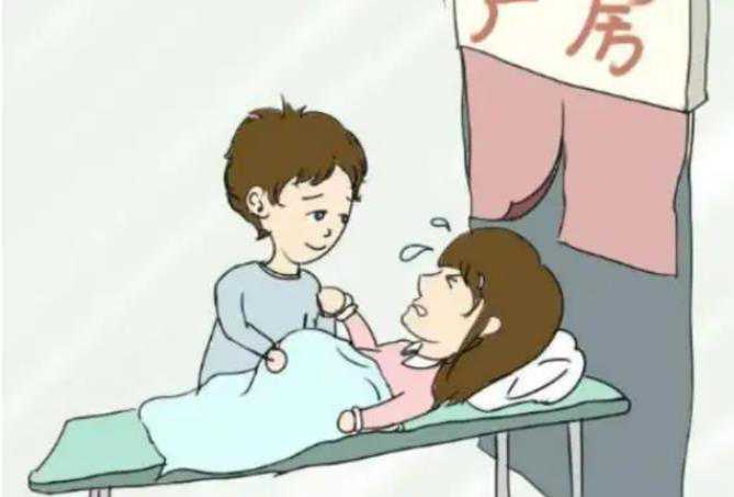 广州三代供卵试管价格|包成功广州试管供卵代生医院|广州供卵试管婴儿哪里好