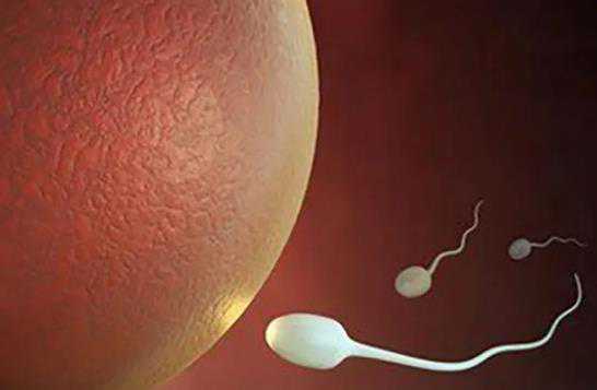 海南代生哪家好 2022年海南省最新供卵机构排名大全 ‘通过孕囊值看男女’